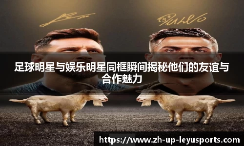 乐鱼体育官网